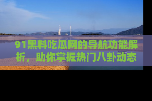 91黑料吃瓜网的导航功能解析,助你掌握热门八卦动态