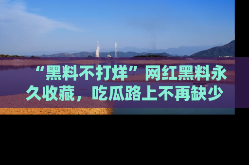 “黑料不打烊”网红黑料永久收藏，吃瓜路上不再缺少惊喜与乐趣