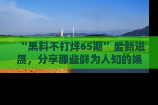 “黑料不打烊65期”最新进展，分享那些鲜为人知的娱乐八卦