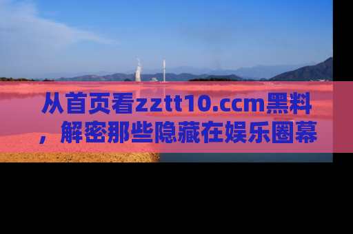 从首页看zztt10.ccm黑料，解密那些隐藏在娱乐圈幕后的丑闻故事！