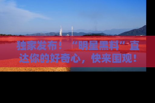 独家发布！“明星黑料”直达你的好奇心，快来围观！