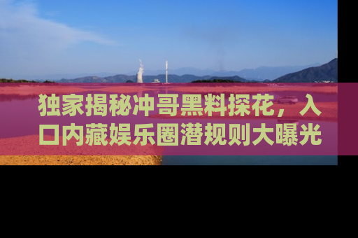 独家揭秘冲哥黑料探花，入口内藏娱乐圈潜规则大曝光