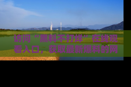 访问“黑料不打烊”在线观看入口，获取最新爆料的网址！