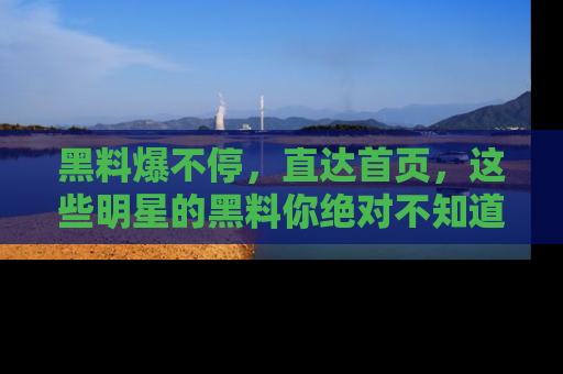 黑料爆不停，直达首页，这些明星的黑料你绝对不知道！