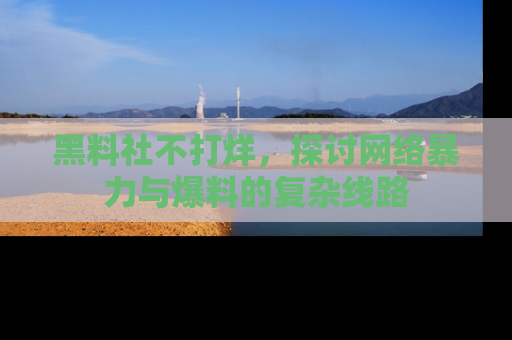 黑料社不打烊，探讨网络暴力与爆料的复杂线路