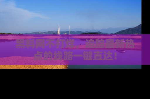 黑料网不打烊，追踪最新热点的线路一键直达！