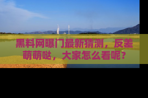 黑料网曝门最新猜测，反差萌萌哒，大家怎么看呢？
