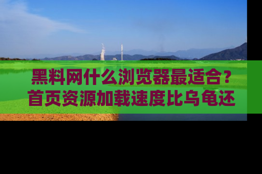 黑料网什么浏览器最适合？首页资源加载速度比乌龟还慢的体验真心吐槽！