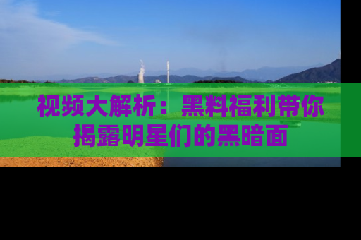 视频大解析：黑料福利带你揭露明星们的黑暗面