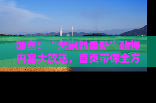 哇塞！“黑网料最新”劲爆内容大放送，首页带你全方位了解哦，小可爱们
