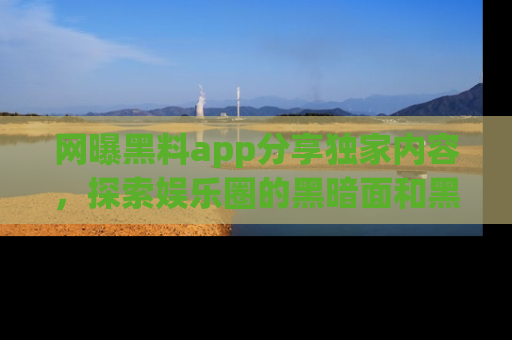 网曝黑料app分享独家内容，探索娱乐圈的黑暗面和黑料