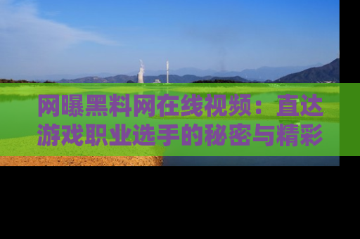 网曝黑料网在线视频：直达游戏职业选手的秘密与精彩动漫片段！