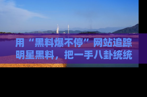 用“黑料爆不停”网站追踪明星黑料，把一手八卦统统收进你的后宫中！